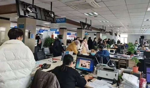 物聯賦能，網通民心 智慧服務讓群眾辦事更便捷